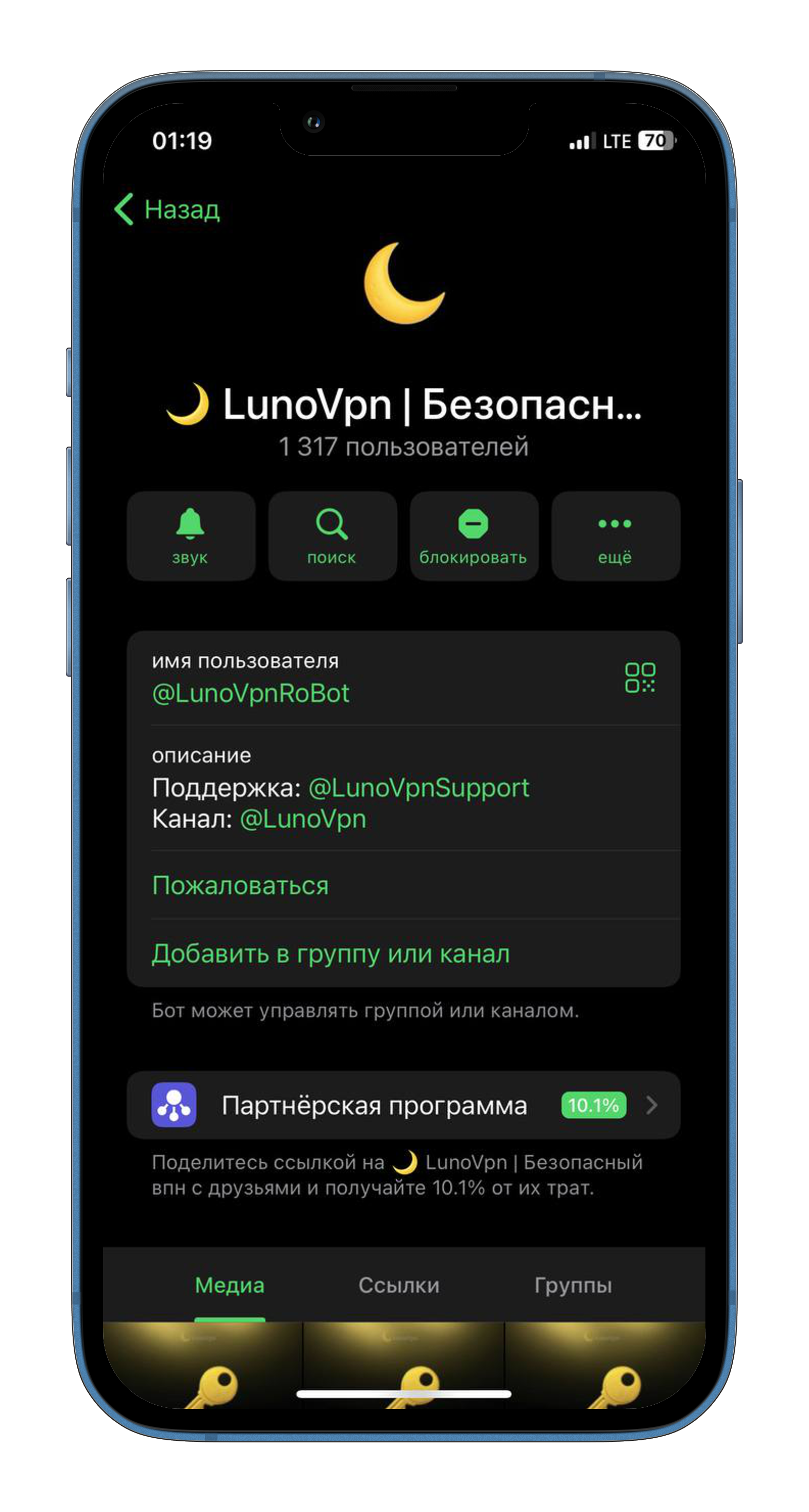 Профиль LunoVPN Telegram бота